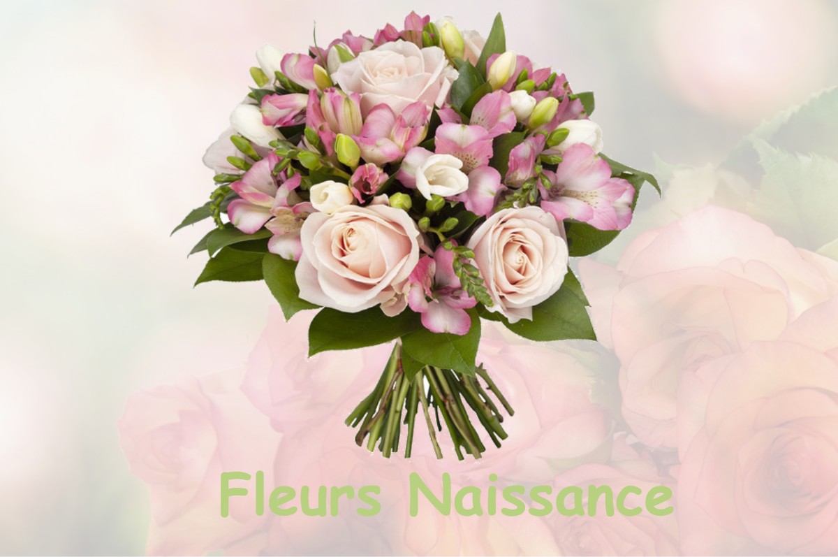 fleurs naissance SAINTE-FLAIVE-DES-LOUPS