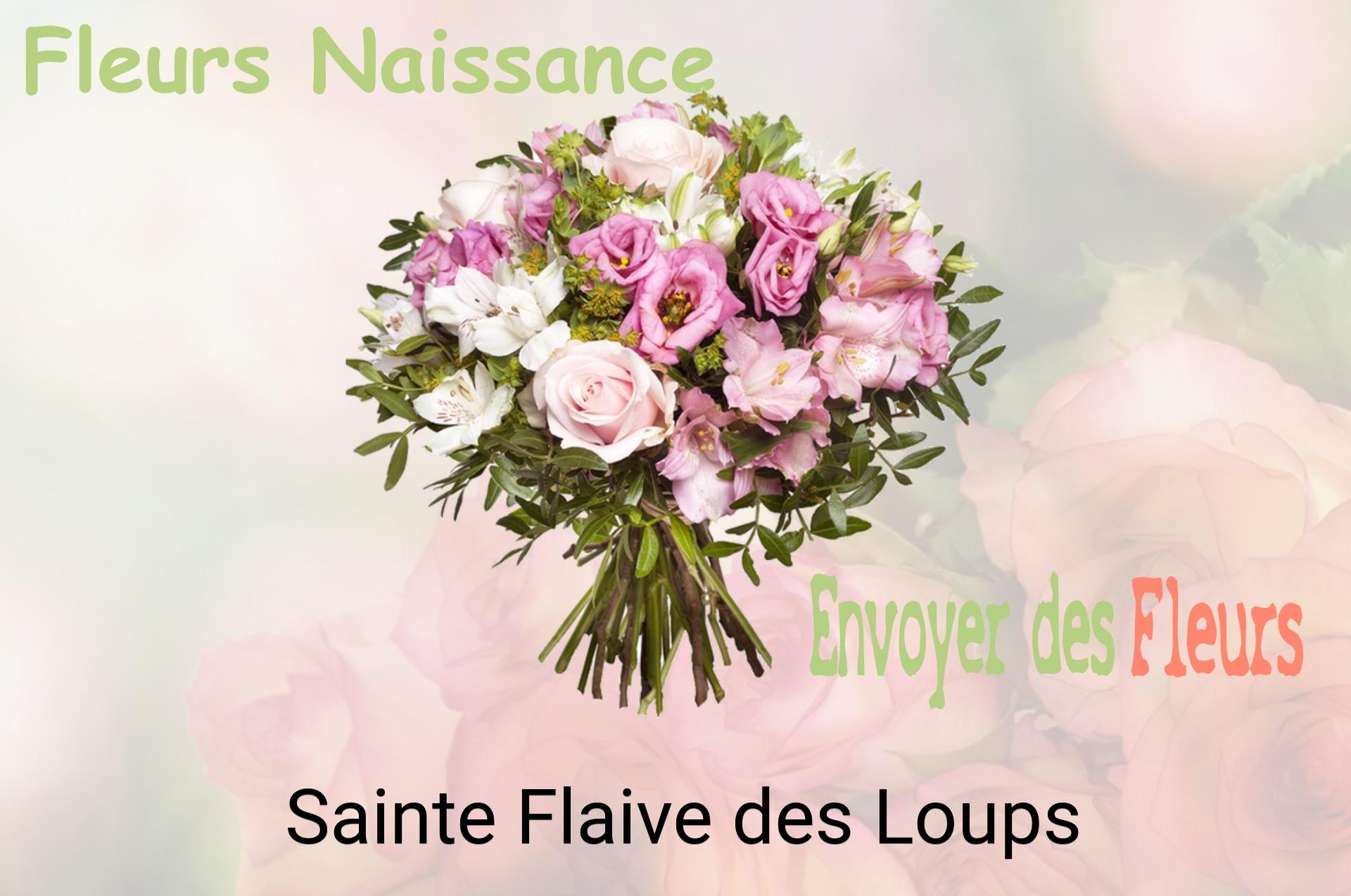 Bouquet de fleurs de naissance livré à Sainte-Flaive-des-Loups